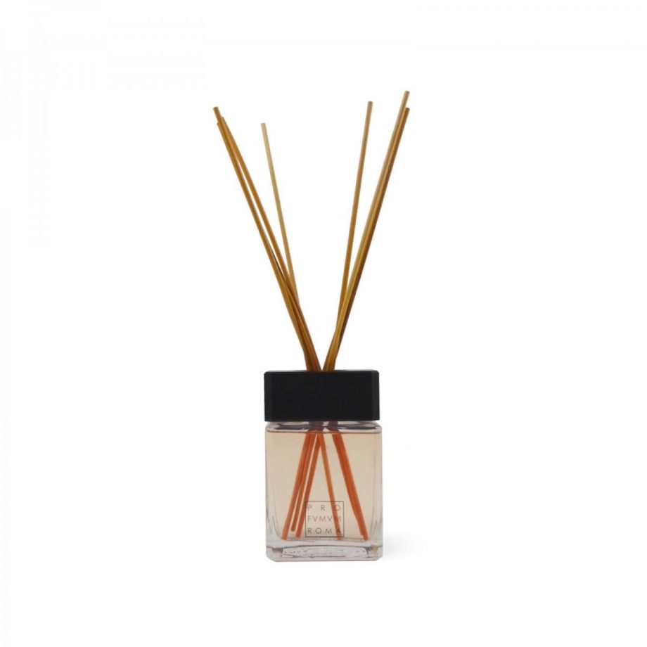Profumum Roma Acqua Di Sale Fragrance Diffuser