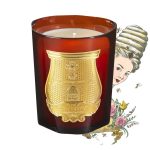 Trudon Doftljus Cire 270 g